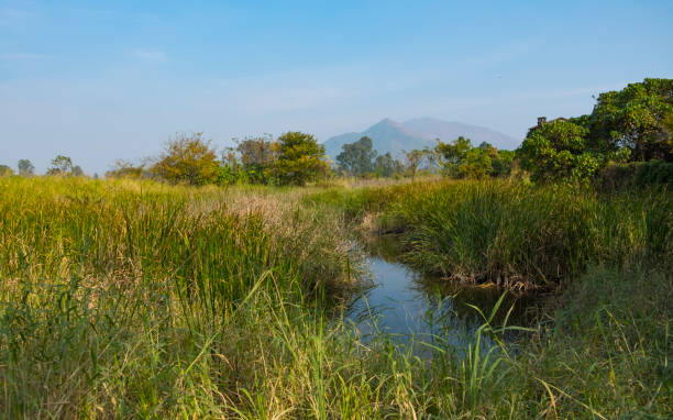istock Landscape with river and blue sky 900758336