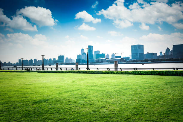 istock Shanghai skyline in sunny day, China 900761942