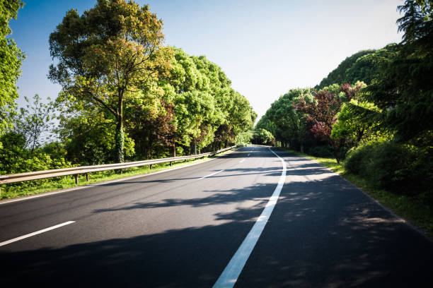 istock Summer Country Road 900762234
