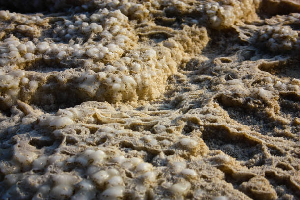 Closeup and landscape of the Dead sea in Israel