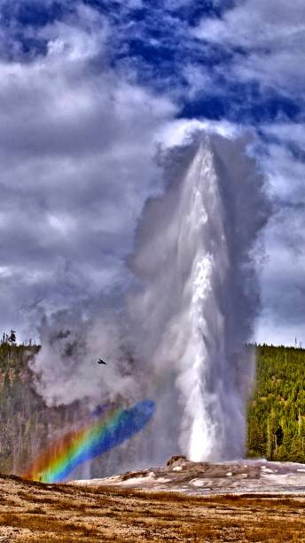 istock Old Faithful Geyser 900767634