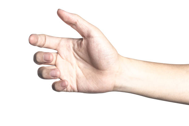 istock Hand open and ready to help or receive. Gesture isolated on white background with clipping path. 900770276