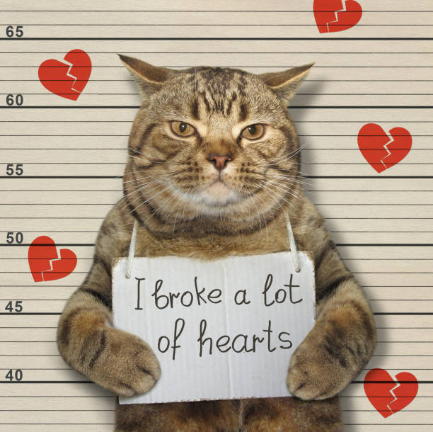 48,310 Funny Valentine Stock Photos, Pictures & Royalty-Free Images - iStock | Valentines day, Cupid, Love 48,310 Funny Valentine Stock Photos, Pictures & Royalty-Free Images - iStock | Valentines day, Cupid, Love