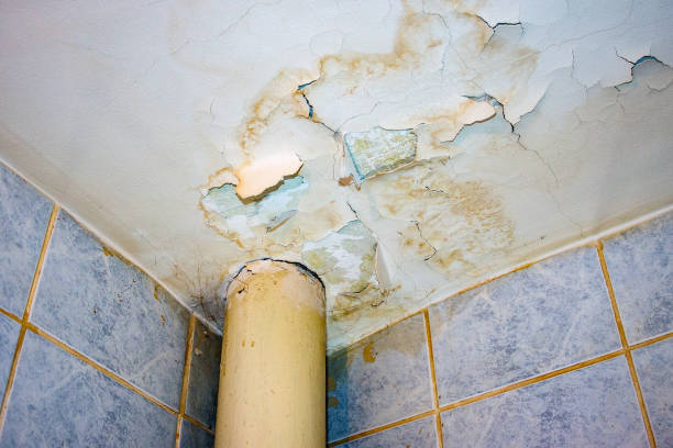 istock Ceiling in need of repair 900784118
