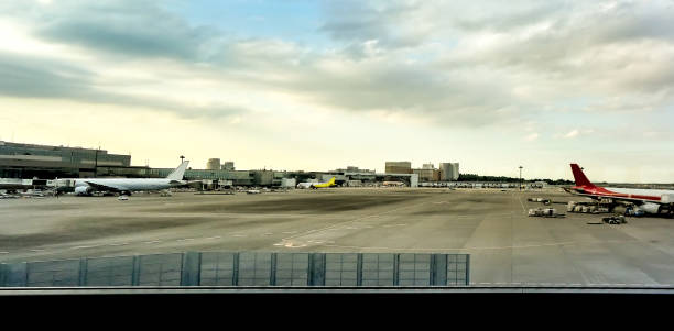 istock airplane in the airport 900787680