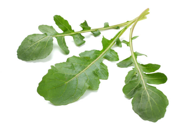istock green fresh rucola leaves isolated on white background. Rocket salad or arugula. 900791470