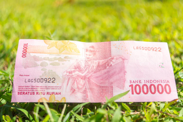 istock Hundred thousand rupiah paper money on green grass 900792252