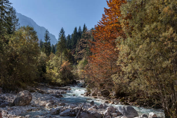 istock Autumn in pisnica - valley 900792368