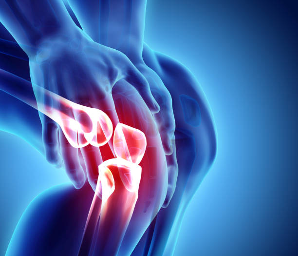 istock Knee painful - skeleton x-ray. 900792430
