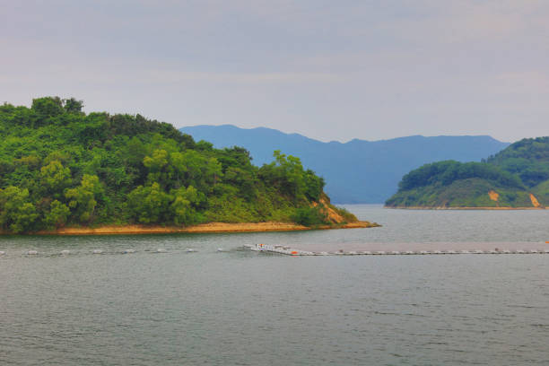Solar panels on water at  Plover Cove Reservoir
