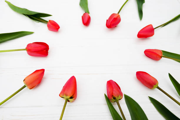 istock Red flowers. Frame with tulip. Easter, spring concept. Flat lay, top view 900804382