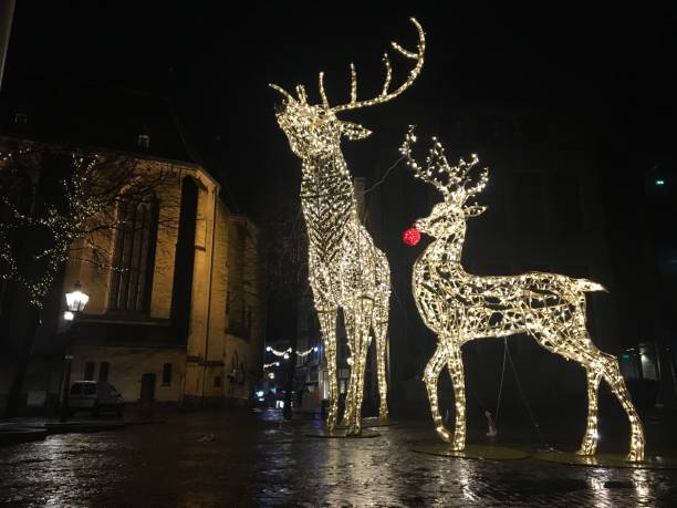рождественский свет олень украшения перед ратушей в зволье со снегом во время холодной зимней ночи - 0 3 months стоковые фото и изображения
