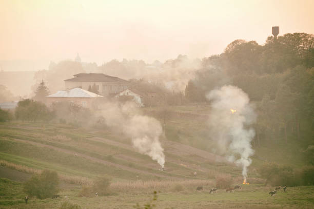 istock Countryside in the foothills 900811734