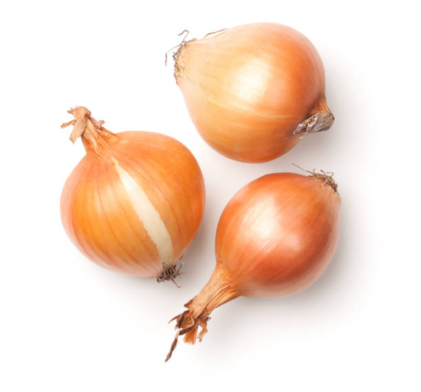 Onions Isolated on White Background Onions isolated on white background. Top view onion photos stock pictures, royalty-free photos & images