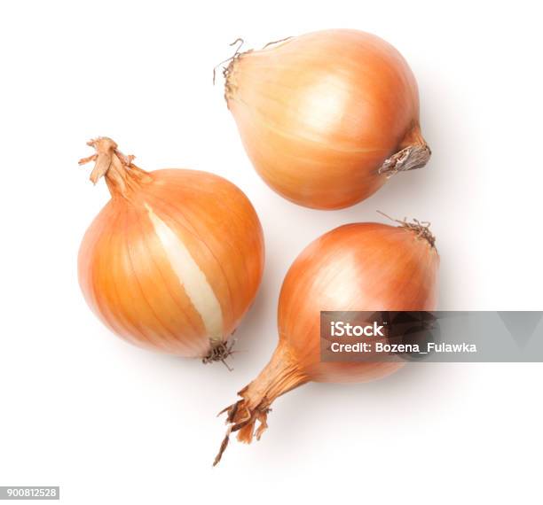 Onions Isolated On White Background Stock Photo - Download Image Now - Onion, Cut Out, White Background