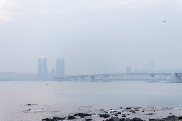 istock Panoramic view of Busan in South Korea 900813334