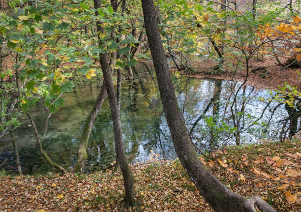 istock Plitvice Lakes National Park 900815680