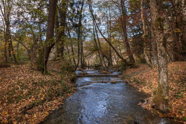 istock Plitvice Lakes National Park 900815916