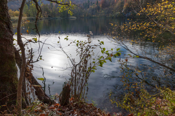 istock Plitvice Lakes National Park 900816574