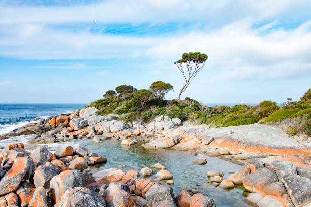 istock Bay of Fires, Tasmania, Australia 900817098