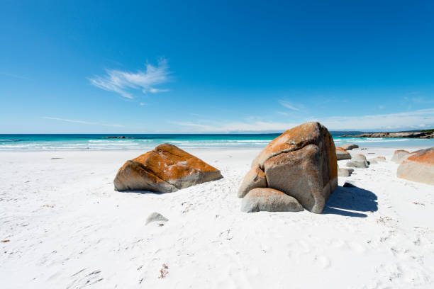 istock Bay of Fires, Tasmania, Australia 900817230