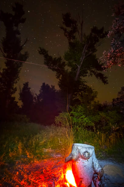 istock camp fire in a forest at the night 900820276