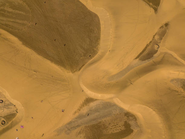 istock The Dunes, Maspalomas Beach, Gran Canaria, Spain. 900820968