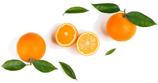 istock Citrus fruits - oranges. 900825362
