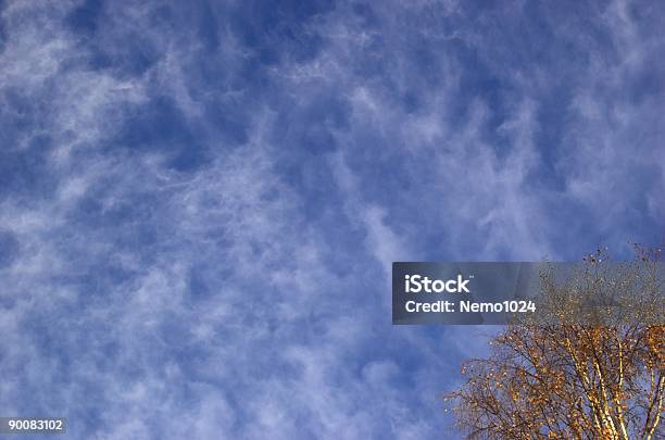 Cloudscape Stock Photo - Download Image Now - Autumn, Birch Tree, Blue