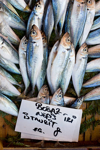 fresh fish in a turkish market stock photo