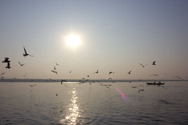 istock Sunrise in the Ganges in Varanasi, India 900832910
