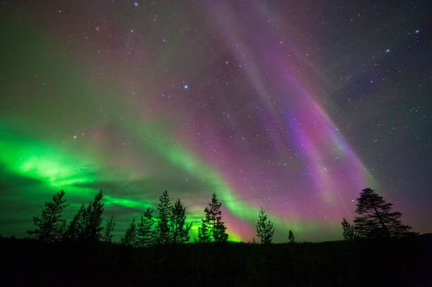 aurora borealis, nordlicht, über borealer wald - aurora borealis aurora polaris lapland finland stock-fotos und bilder