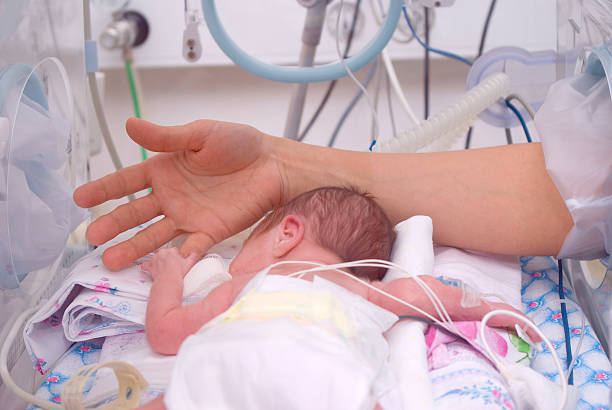 mano de médico y recién nacido en incubadora - premature fotografías e imágenes de stock