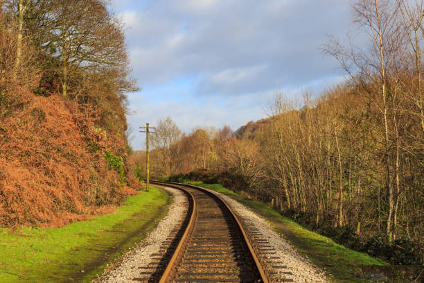 istock Rail Tracks through the Countryside 900834048