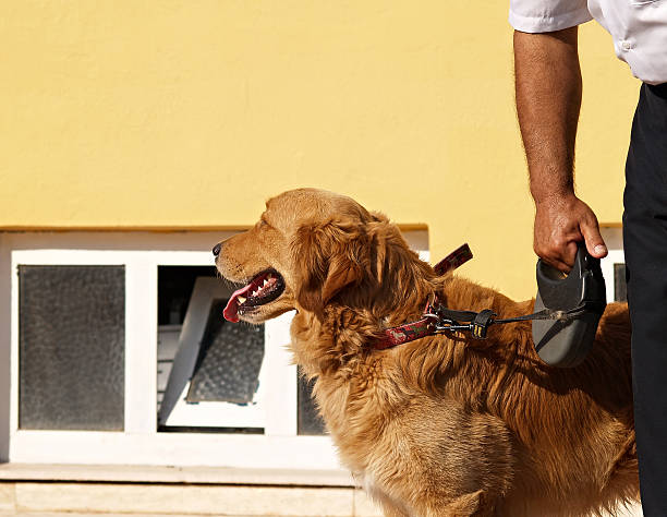 Dog and the guard stock photo