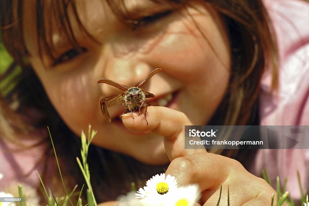 June Lake - Lizenzfrei Insekt Stock-Foto