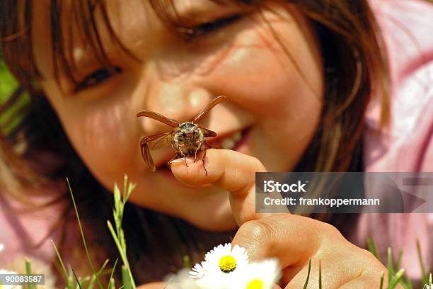 June Lake Stockfoto und mehr Bilder von Insekt - Insekt, Kind, Sehen