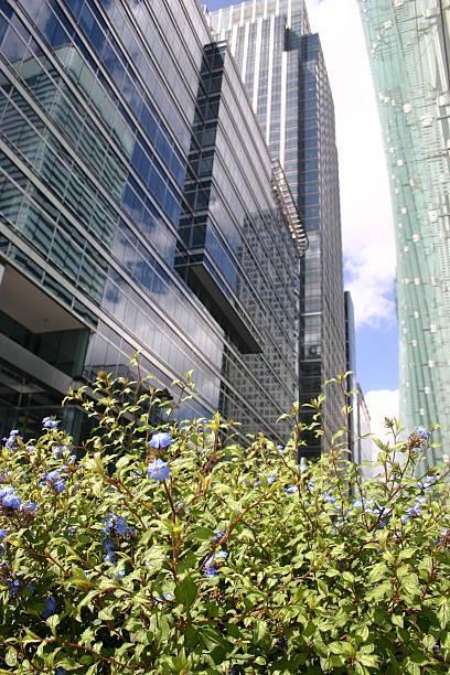 istock hedge planting among London's modern skyscraper 90083743