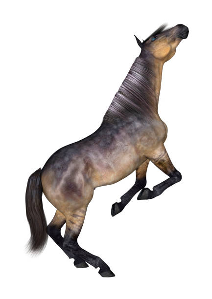 istock 3D digital render grulla horse on white 900841010