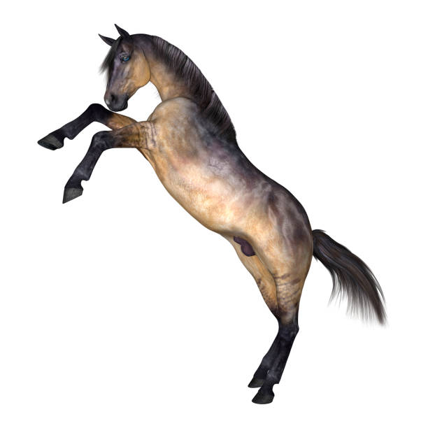 istock 3D digital render grulla horse on white 900841050
