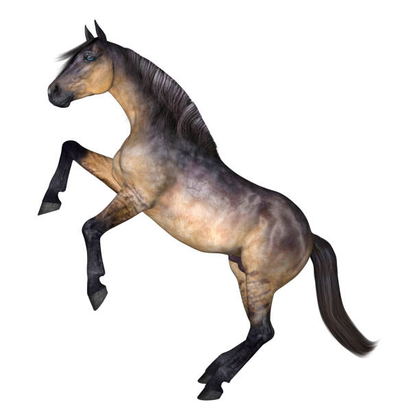 istock 3D digital render grulla horse on white 900841100