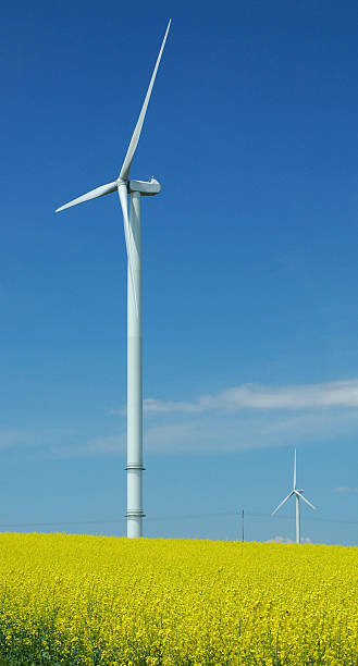 istock farm of windturbines close to rape field 90084287