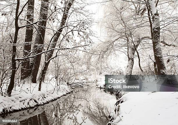 Photo libre de droit de Little Stream banque d'images et plus d'images libres de droit de Arbre - Arbre, Au bord de, Blanc