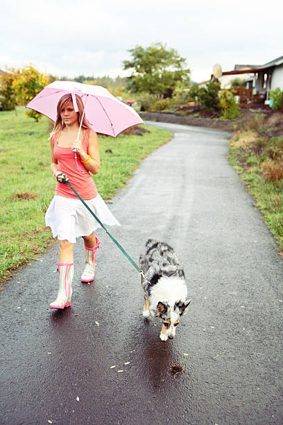 istock Young Blonde Walking Her Dog in the Rain 90084826