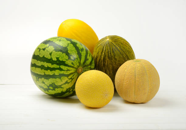 ripe melon varieties stock photo