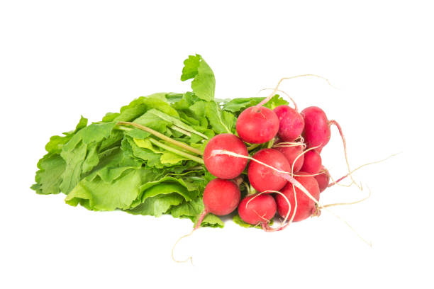 istock Bunch of radish isolated on white background. 900850174
