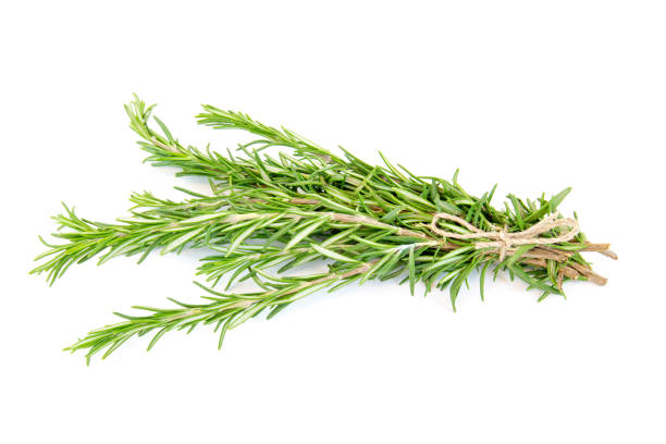 istock Rosemary branch cut out on white background 900850254