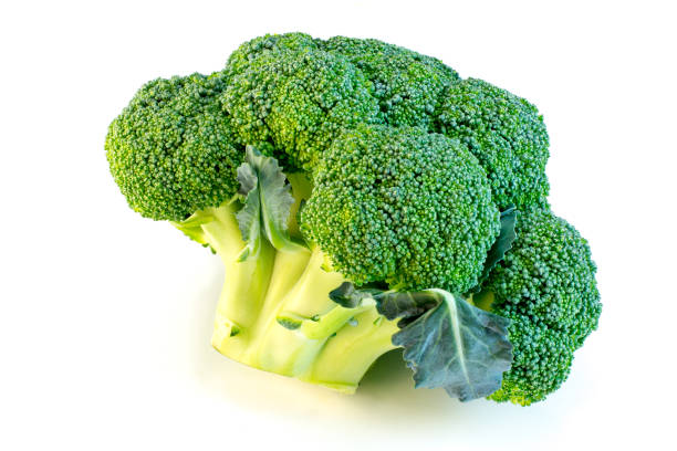 Broccoli isolated on white background stock photo