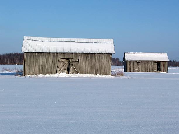 barns in inverno - winter finland agriculture barn foto e immagini stock