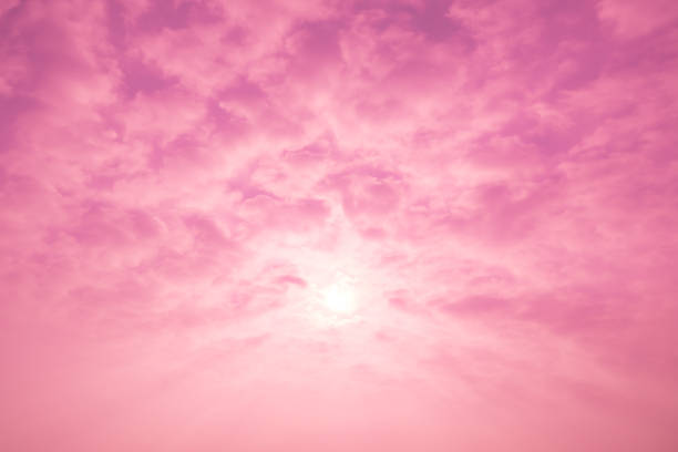 Pink cloud on sky pink love valentine background